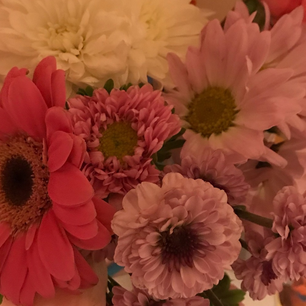 Meet your Posher, Celeste